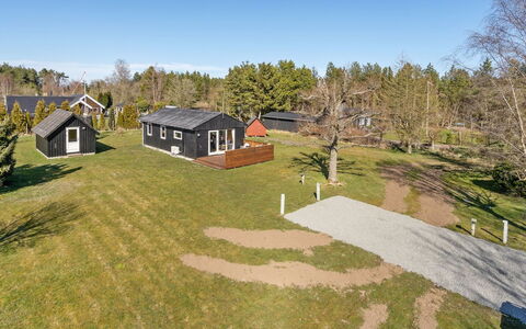 Julla - 1.5Km from the Sea: Plant Community, Sunlight, Herbaceous Plant, Garden, Plantation, Agriculture, Farm