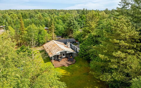 Zölestine - 1Km from the Sea: Tree, Natural Environment, Landscape, Land Lot, Rural Area, Cottage, Forest, Plantation, Garden, Landscaping
