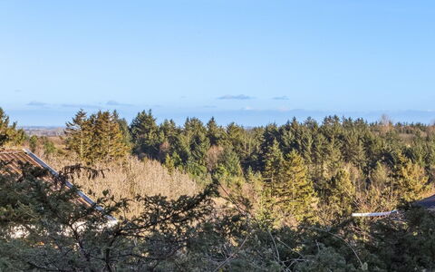Jaakob - 4Km from the Sea: Sky, Blue, Leaf, Natural Environment, Vegetation, Ecoregion, Plant Community, Wilderness, Forest, Chaparral