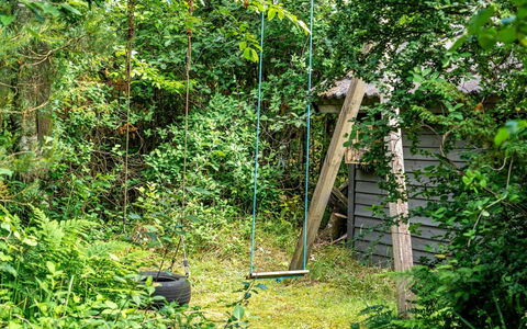 Jaakob - 4Km from the Sea: Green, Leaf, Wood, Vegetation, Shrub, Plant Community, Garden, Groundcover, Nature Reserve, Jungle