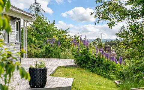 Jaakob - 4Km from the Sea: Green, Flower, Shrub, Garden, Groundcover, Spring, Cottage, Landscaping, Yard, Backyard