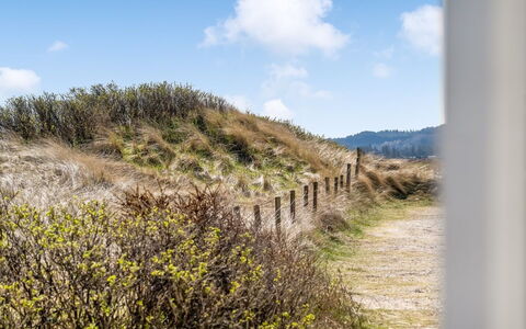Edisa - 50M from the Sea: Grass, House, Roof, Home, Cottage, Shrub, Land Lot, Rural Area, Farmhouse, Groundcover