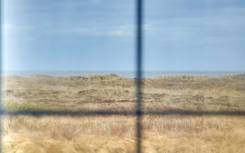 Zaharinka - 300M from the Sea: Home, Residential Area, House, Cottage, Roof, Land Lot, Siding, Garden, Estate, Lawn