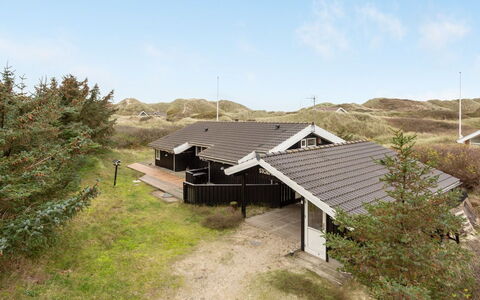 Lennja - 300M from the Sea: Plant Community, Sunlight, Herbaceous Plant, Garden, Plantation, Agriculture, Farm