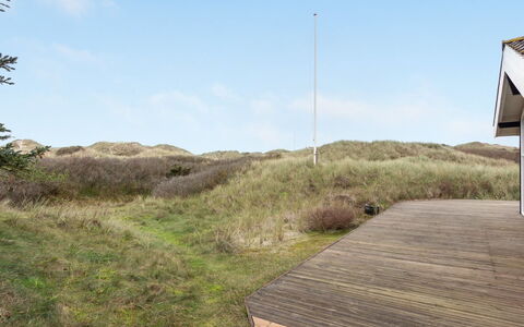 Lennja - 300M from the Sea: Plant Community, Sunlight, Herbaceous Plant, Garden, Plantation, Agriculture, Farm