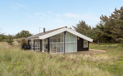 Lennja - 300M from the Sea: Plant Community, Sunlight, Herbaceous Plant, Garden, Plantation, Agriculture, Farm