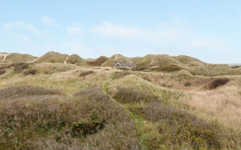 Lennja - 300M from the Sea: Plant Community, Sunlight, Herbaceous Plant, Garden, Plantation, Agriculture, Farm