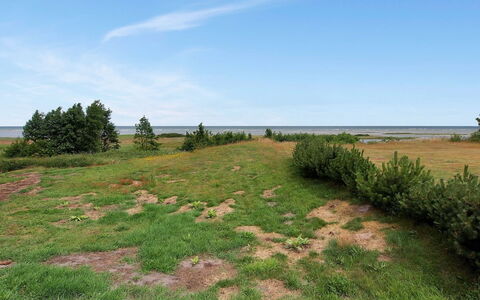 Hane - 150M from the Sea: Grass, Vegetation, Grassland, Ecoregion, Plain, Plant Community, Land Lot, Shrubland, Pasture