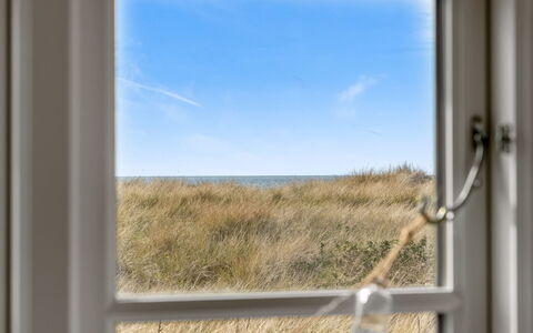 Stintje - 20M from the Sea: Building, House, Window, Home, Roof, Residential Area, Shrub, Cottage, Land Lot