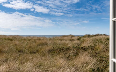 Stintje - 20M from the Sea: Building, House, Window, Home, Roof, Residential Area, Shrub, Cottage, Land Lot