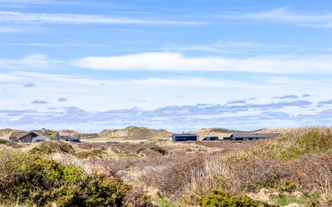 Björnstjerne - 400M from the Sea: Plant Community, Sunlight, Herbaceous Plant, Garden, Plantation, Agriculture, Farm