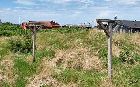 Zafirka - 364M from the Sea: Grass, Green, Grassland, Plant Community, Ecoregion, Land Lot, Prairie, Plain, Rural Area