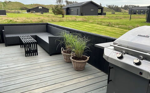 Auvo - 600M from the Sea: Plant Community, Sunlight, Herbaceous Plant, Garden, Plantation, Agriculture, Farm
