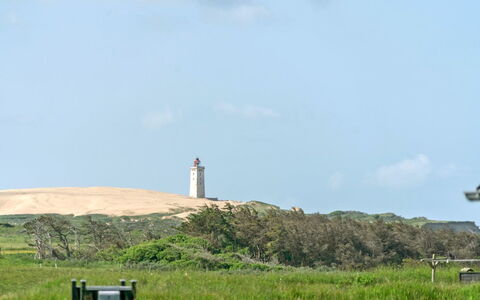Ananda - 245M from the Sea: Plant Community, Sunlight, Herbaceous Plant, Garden, Plantation, Agriculture, Farm