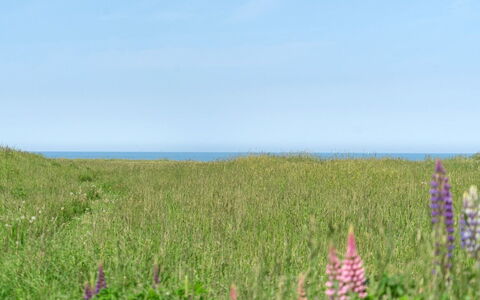 Ananda - 245M from the Sea: Wood, Roof, House, Cottage, Door, Home, Siding, Land Lot, Garden Buildings, Shed