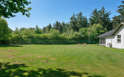 Marsa - 1.5Km from the Sea: Tree, Grass, Shrub, Grassland, Garden, Plain, Land Lot, Lawn, Cottage