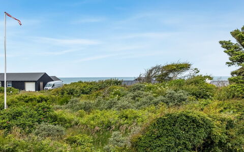 Sorja - 420M from the Sea: Sky, Blue, Vegetation, Shrub, Plant Community, Land Lot, Groundcover, Shrubland, Chaparral