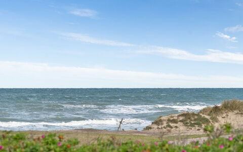 Miroslava - 140M from the Sea: House, Home, Door, Roof, Cottage, Estate, Garden, Shade, Siding, Yard