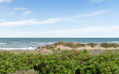 Miroslava - 140M from the Sea