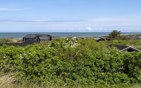 Wolfger - 350M from the Sea: Grass, Grassland, Land Lot, Cottage, Rural Area, Meadow, Garden Buildings, Garden, Shed