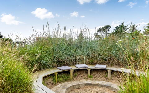Albert - 340M from the Sea: Shrub, Plant Community, Land Lot, Groundcover, Garden, Shrubland, Meadow, Prairie, Herbaceous Plant