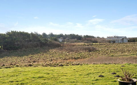 Ailika - 300M from the Sea: Sky, Grass, Vegetation, Grassland, Shrub, Plain, Ecoregion, Land Lot, Plant Community