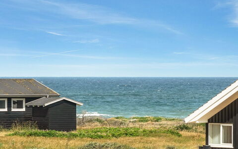 Lex - 150M from the Sea: Plant Community, Sunlight, Herbaceous Plant, Garden, Plantation, Agriculture, Farm