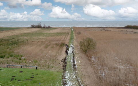 Gonda - 500M from the Sea: Roof, House, Home, Cottage, Siding, Estate, Driveway, Garden Buildings, Yard, Shed