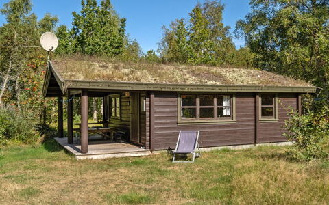 Beatrix - 700M from the Sea: Wood, Home, Porch, Deck, Hardwood, Roof, Wood Stain, Wood Flooring, Eco Hotel