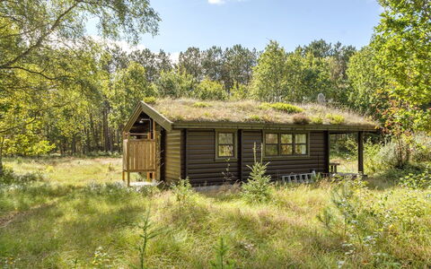Beatrix - 700M from the Sea: Wood, Home, Porch, Deck, Hardwood, Roof, Wood Stain, Wood Flooring, Eco Hotel