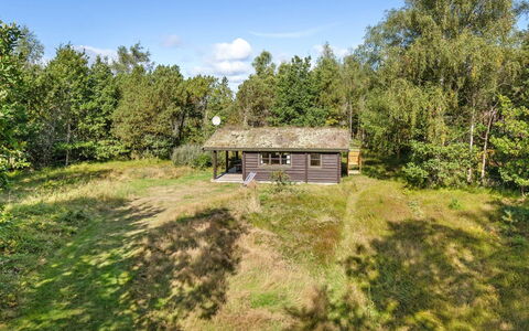 Beatrix - 700M from the Sea: Wood, Home, Porch, Deck, Hardwood, Roof, Wood Stain, Wood Flooring, Eco Hotel