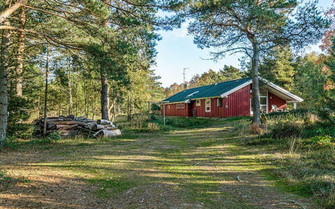 Helmtrud - 500M from the Sea: Tree, Leaf, Grass, Natural Environment, Vegetation, Shrub, Landscape, Cottage, Land Lot, Plant Community