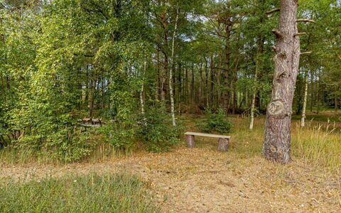 Helmtrud - 500M from the Sea: Leaf, Tree, Natural Environment, Grass, Wood, Vegetation, Natural Landscape, Forest, Plant Community, Trunk