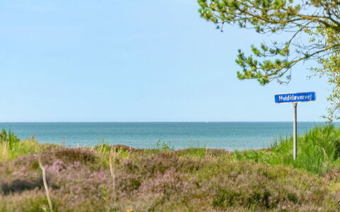 Wimar - 200M from the Sea: Wood, Home, Porch, Deck, Hardwood, Roof, Wood Stain, Wood Flooring, Eco Hotel