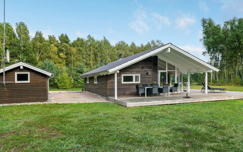 Thomasine - 1.5Km from the Sea: Grass, Green, House, Cottage, Grassland, Rural Area, Ecoregion, Landscape, Land Lot, Shrub