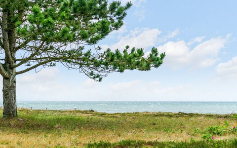 Djuna - 200M from the Sea: Sky, Blue, Daytime, Green, Vegetation, Summer, Horizon, Ecoregion, Cloud, Sea
