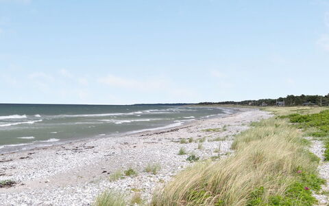 Doritte - 125M from the Sea: House, Home, Door, Roof, Cottage, Estate, Garden, Shade, Siding, Yard