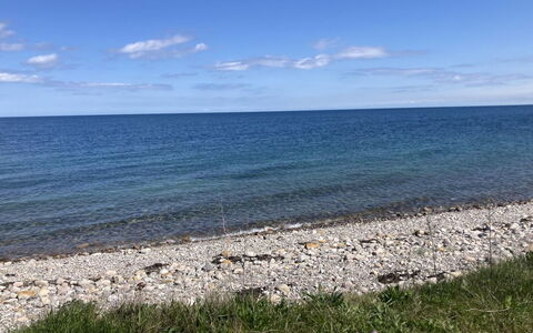 Malte - 75M from the Sea: Plant Community, Sunlight, Herbaceous Plant, Garden, Plantation, Agriculture, Farm