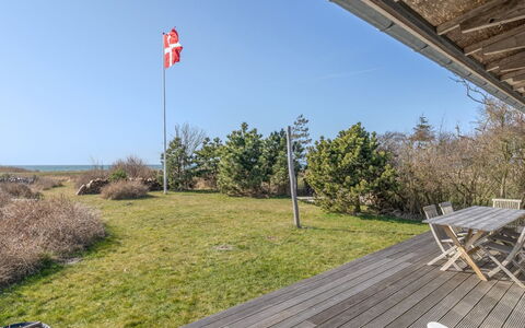 Malte - 75M from the Sea: Plant Community, Sunlight, Herbaceous Plant, Garden, Plantation, Agriculture, Farm