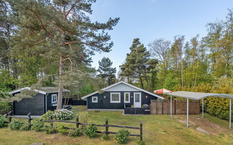 Eweline - 75M from the Sea: Roof, Home, Door, Cottage, Shade, Siding, Yard, Estate, Backyard