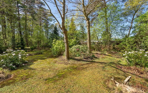 Eweline - 75M from the Sea: Roof, Home, Door, Cottage, Shade, Siding, Yard, Estate, Backyard