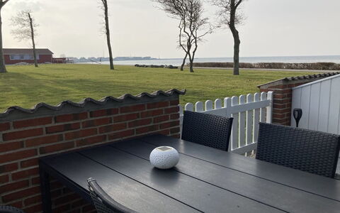 Elevus - 10M from the Sea: Plant Community, Sunlight, Herbaceous Plant, Garden, Plantation, Agriculture, Farm