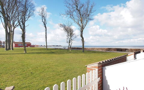 Elevus - 10M from the Sea: Fence, Lawn, Home Fencing, Picket Fence