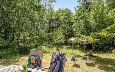Osa - 150M from the Sea: Tree, Vegetation, Shrub, Plant Community, Garden, Spring, Trunk, Nature Reserve, Woodland, Forest