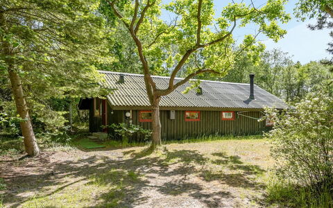 Osa - 150M from the Sea: Tree, Leaf, Wood, House, Cottage, Shrub, Roof, Home, Rural Area
