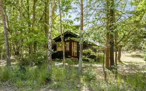 Osa - 150M from the Sea: Tree, Natural Environment, Nature, Leaf, Wood, Branch, Vegetation, Cottage, Forest, Woodland