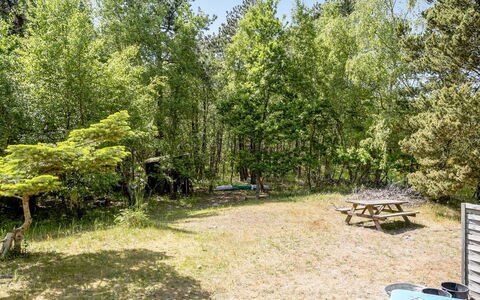 Osa - 150M from the Sea: Shrub, Plant Community, Spring, Woodland, Shade, Garden, Park, Outdoor Furniture, Outdoor Table, Picnic Table