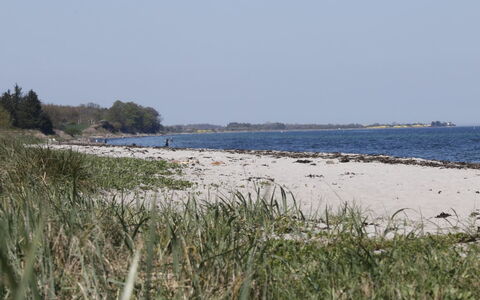Bridgette - 100M from the Sea: Water, Beach, Coast, Coastal And Oceanic Landforms, Shore, Sea, Horizon, Sand, Ocean