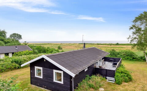 Bridgette - 100M from the Sea: Plant Community, Sunlight, Herbaceous Plant, Garden, Plantation, Agriculture, Farm