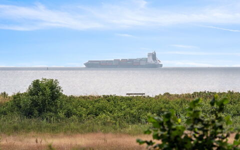 Bridgette - 100M from the Sea: Plant Community, Sunlight, Herbaceous Plant, Garden, Plantation, Agriculture, Farm